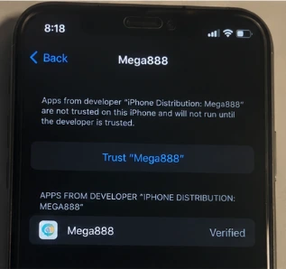 iPhone Settings screen showing the Mega888 app profile before the user approves it